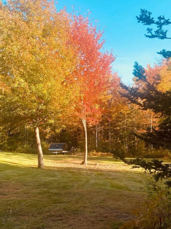 view of property's community featuring a lawn
