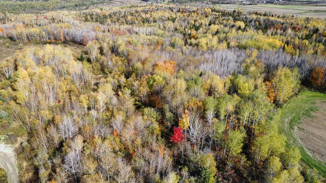 LOT32 Alexander Rd, Van Buren, ME 04785 - photo 4