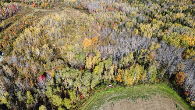 LOT32 Alexander Rd, Van Buren, ME 04785 - photo 5