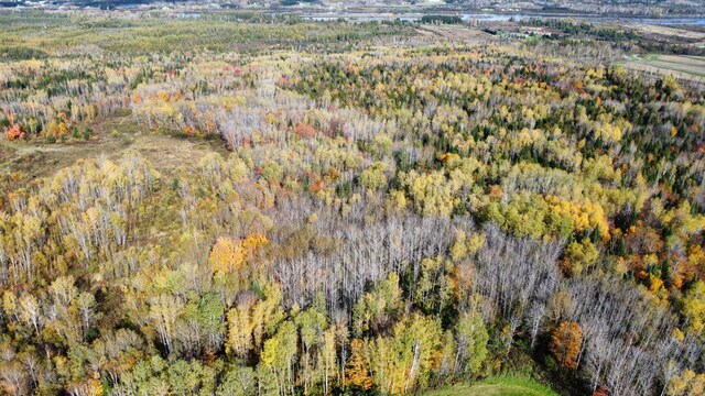 LOT32 Alexander Rd, Van Buren, ME 04785 - photo 6