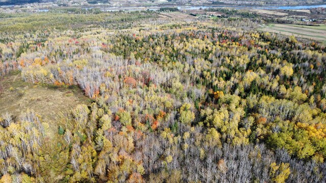 LOT32 Alexander Rd, Van Buren, ME 04785 - photo 7