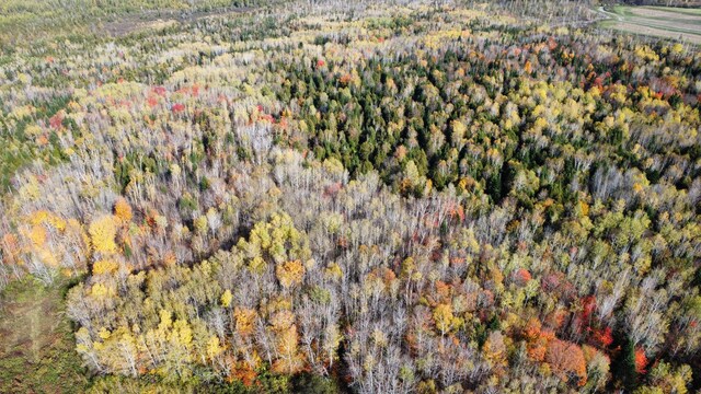 LOT32 Alexander Rd, Van Buren, ME 04785 - photo 8