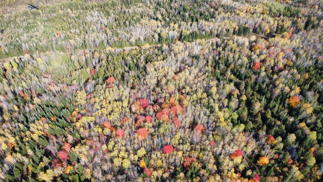 LOT32 Alexander Rd, Van Buren, ME 04785 - photo 9