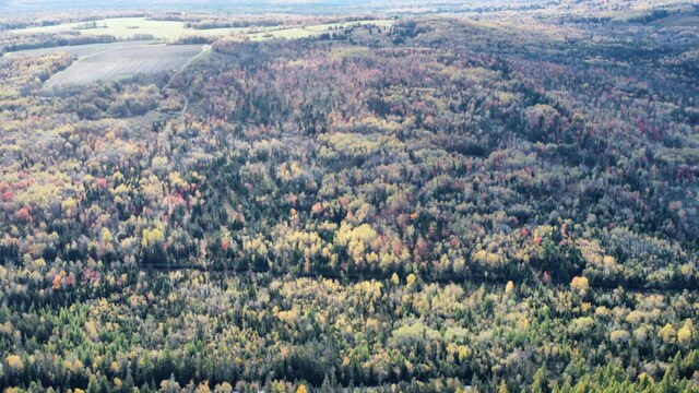 LOT32 Alexander Rd, Van Buren, ME 04785 - photo 10