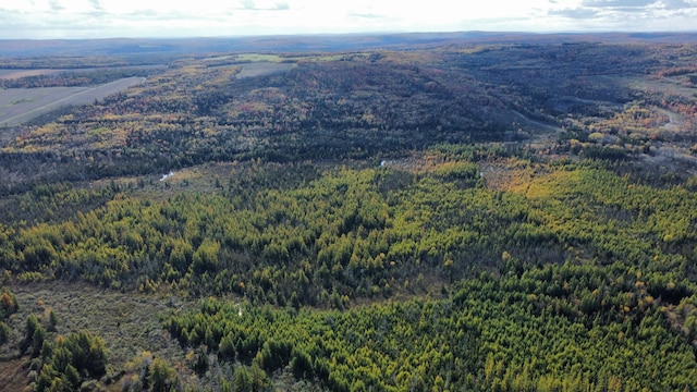 LOT32 Alexander Rd, Van Buren, ME 04785 - photo 11
