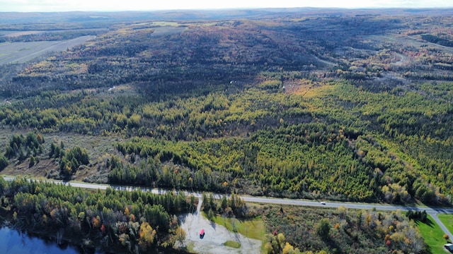 LOT32 Alexander Rd, Van Buren, ME 04785 - photo 12