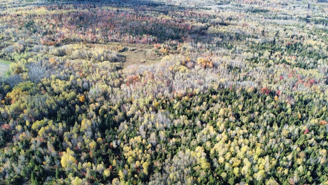 LOT32 Alexander Rd, Van Buren, ME 04785 - photo 13