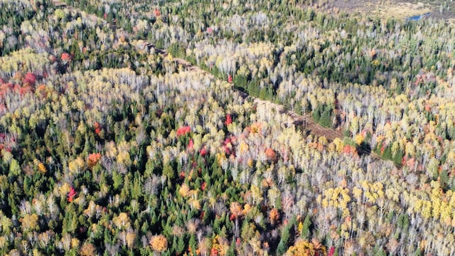 LOT32 Alexander Rd, Van Buren, ME 04785 - photo 14