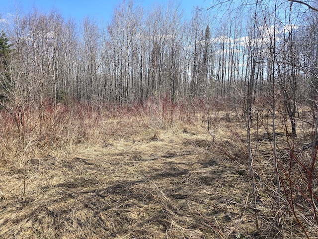 LOT32 Alexander Rd, Van Buren, ME 04785 - photo 3