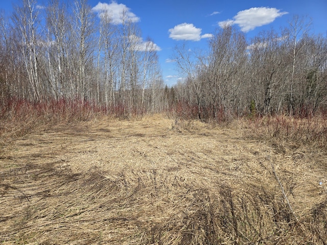 LOT32 Alexander Rd, Van Buren, ME 04785 - photo 2