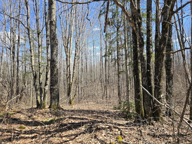 LOT32 Alexander Rd, Van Buren, ME 04785 - photo 17
