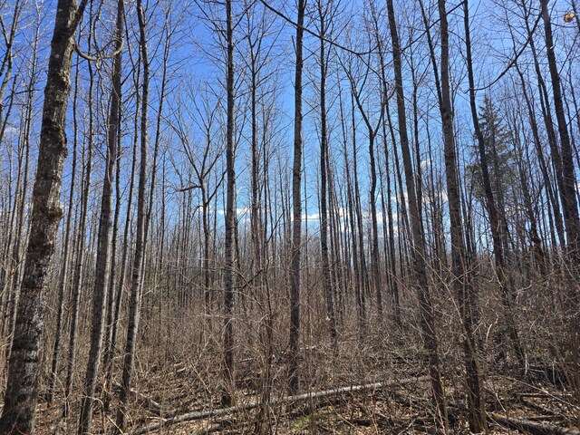 LOT32 Alexander Rd, Van Buren, ME 04785 - photo 18