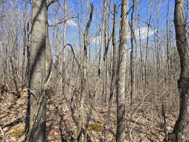 LOT32 Alexander Rd, Van Buren, ME 04785 - photo 20