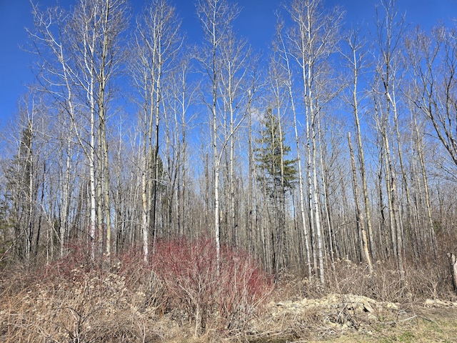 LOT32 Alexander Rd, Van Buren, ME 04785 - photo 23
