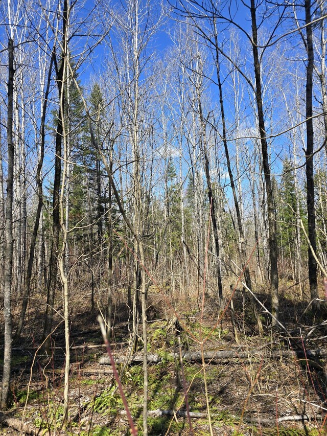 LOT32 Alexander Rd, Van Buren, ME 04785 - photo 22