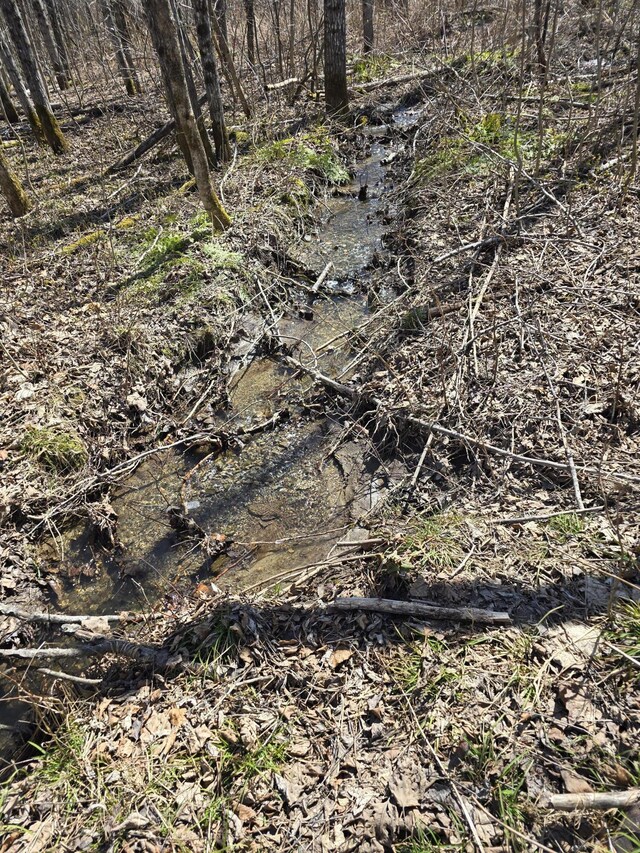 LOT32 Alexander Rd, Van Buren, ME 04785 - photo 21