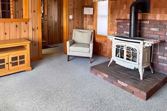 sitting room with carpet floors, wood walls, and a wood stove