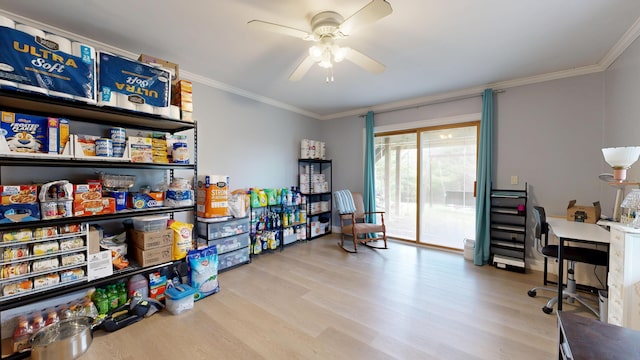 office featuring wood finished floors, crown molding, and a ceiling fan
