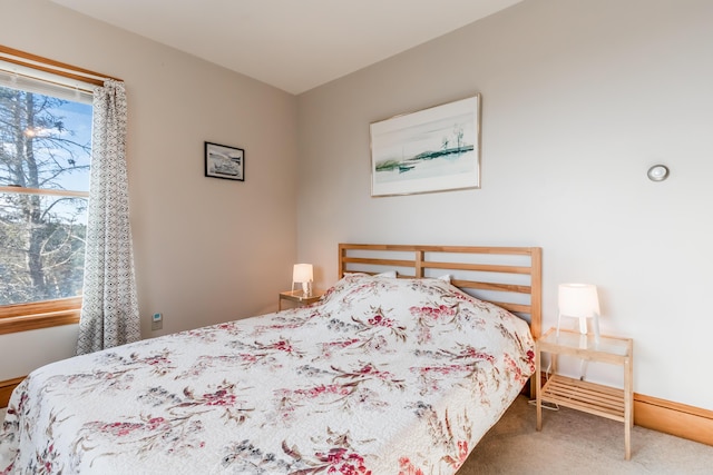 bedroom with carpet flooring