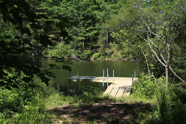 view of dock with a water view