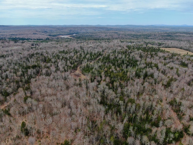 242 Bottle Lake Rd, Springfield, ME 04487 - drone / aerial view with a wooded view