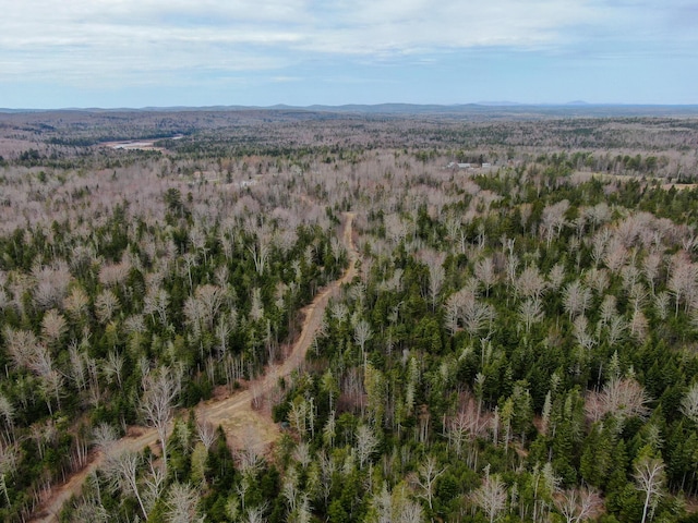 242 Bottle Lake Rd, Springfield, ME 04487 - aerial view with a wooded view