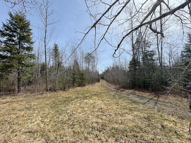 242 Bottle Lake Rd, Springfield, ME 04487 - view of local wilderness with a wooded view