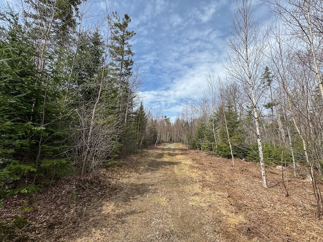 242 Bottle Lake Rd, Springfield, ME 04487 - view of street with a forest view