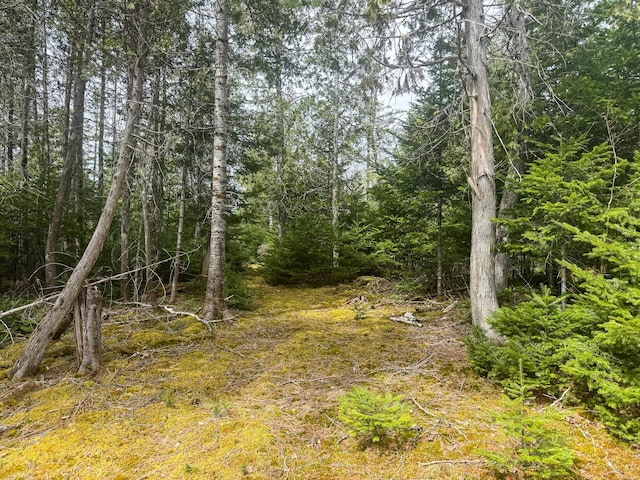 242 Bottle Lake Rd, Springfield, ME 04487 - view of landscape featuring a forest view