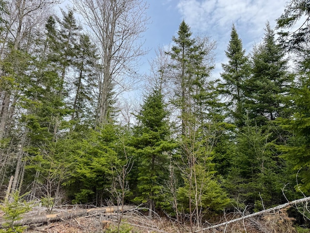 242 Bottle Lake Rd, Springfield, ME 04487 - view of local wilderness featuring a forest view