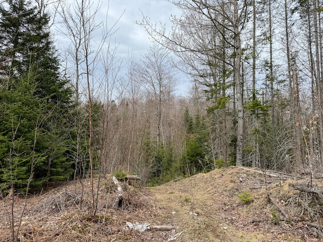 242 Bottle Lake Rd, Springfield, ME 04487 - view of nature with a forest view