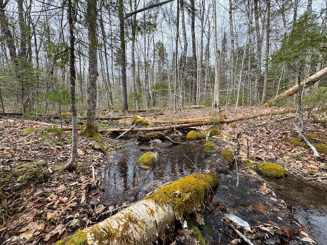 242 Bottle Lake Rd, Springfield, ME 04487 - view of landscape