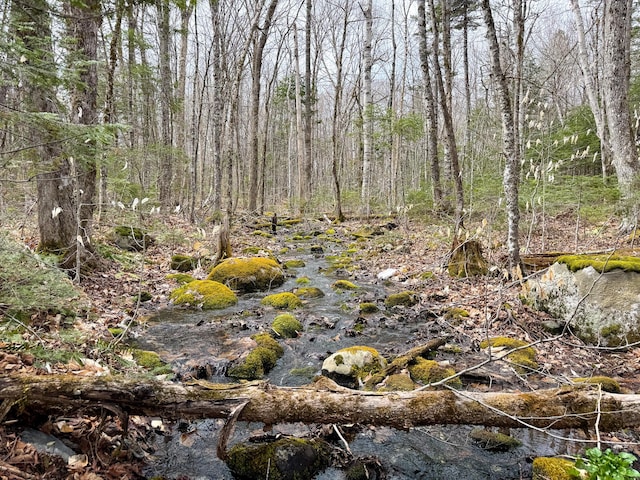242 Bottle Lake Rd, Springfield, ME 04487 - view of nature featuring a wooded view