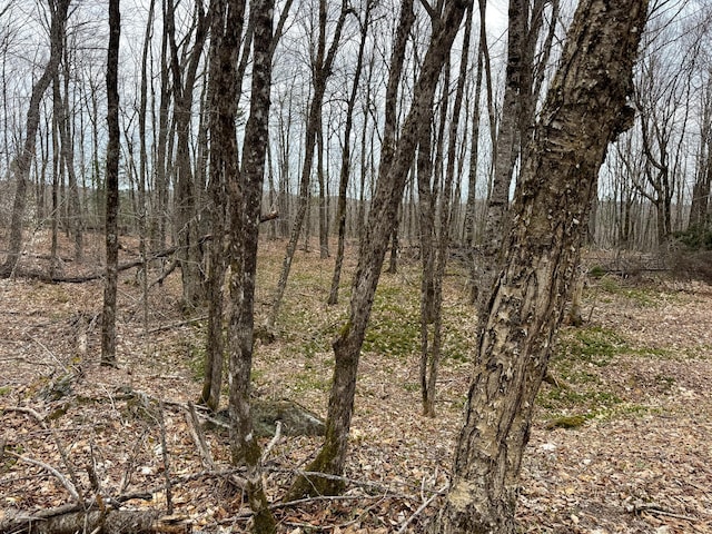 242 Bottle Lake Rd, Springfield, ME 04487 - view of nature with a wooded view