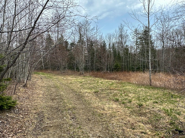 242 Bottle Lake Rd, Springfield, ME 04487 - view of landscape featuring a view of trees