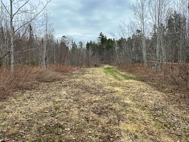 242 Bottle Lake Rd, Springfield, ME 04487 - view of local wilderness featuring a view of trees