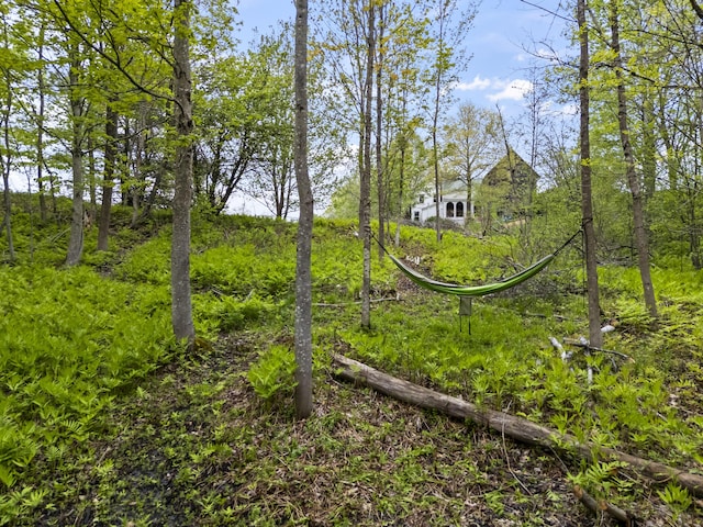 1142 Main St, Sumner, ME 04292 - photo 39
