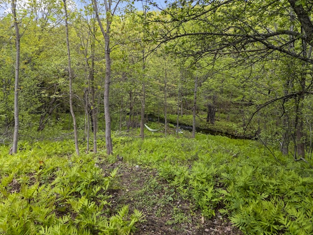 1142 Main St, Sumner, ME 04292 - photo 40