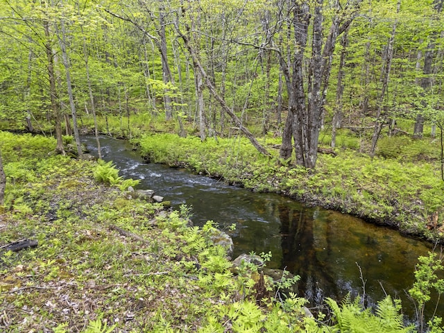 1142 Main St, Sumner, ME 04292 - photo 41