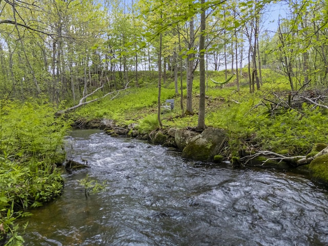 1142 Main St, Sumner, ME 04292 - photo 42