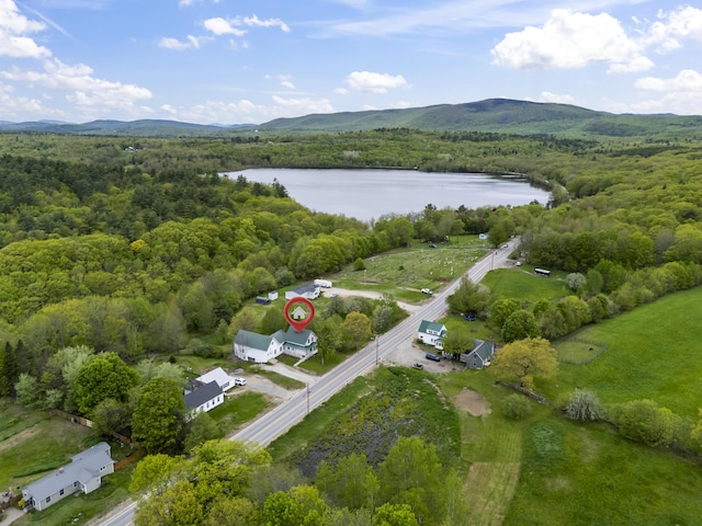 1142 Main St, Sumner, ME 04292 - photo 48