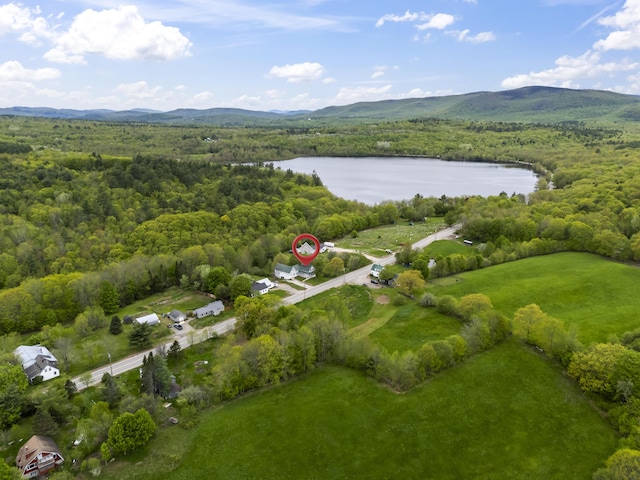 1142 Main St, Sumner, ME 04292 - photo 49