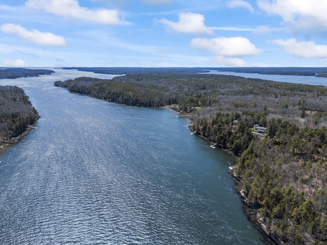 aerial view with a water view and a view of trees
