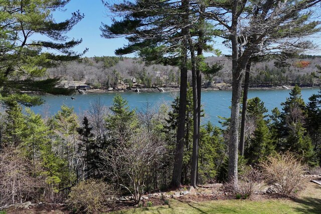 water view featuring a view of trees