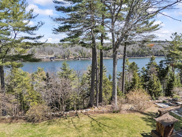 water view featuring a view of trees