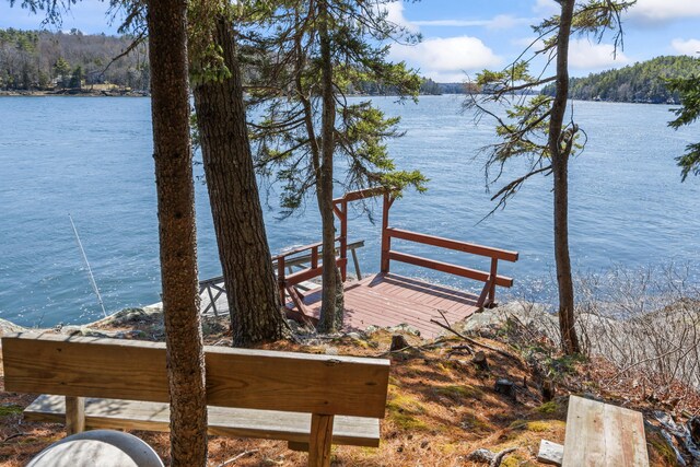 dock area featuring a water view and a wooded view