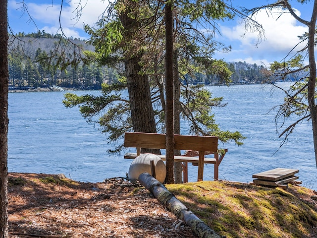 view of dock with a water view