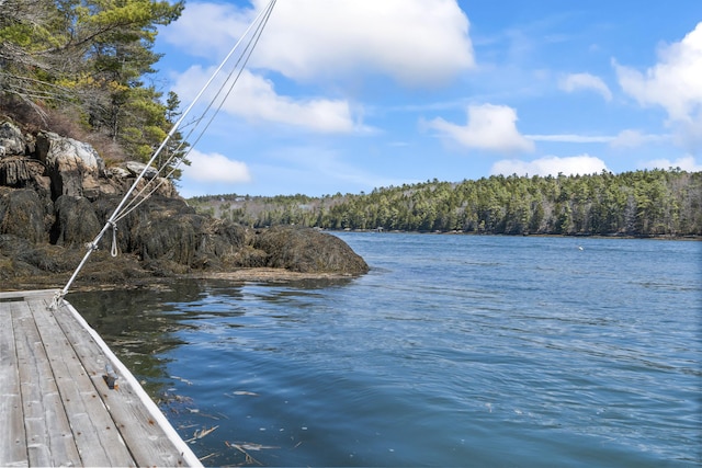 view of dock with a water view and a view of trees