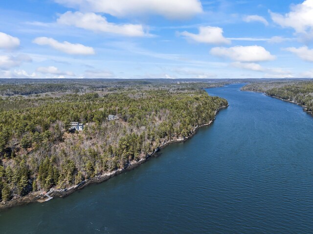 drone / aerial view featuring a water view and a view of trees