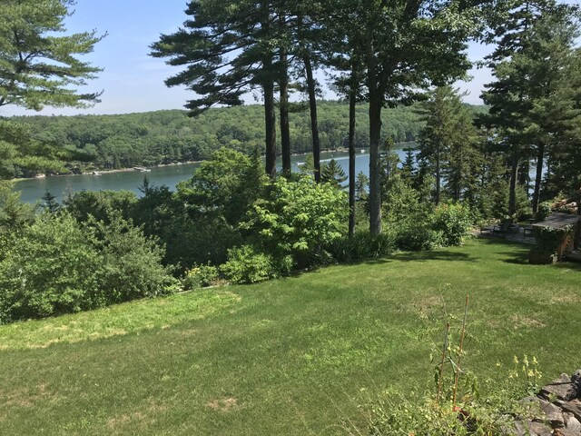 view of yard featuring a water view and a forest view